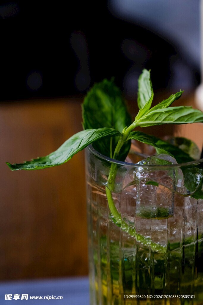 薄荷  