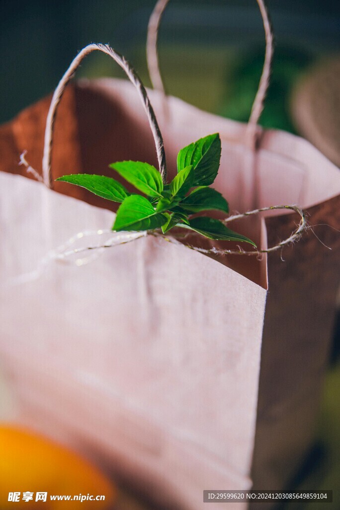 薄荷  