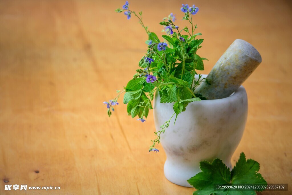 薄荷  