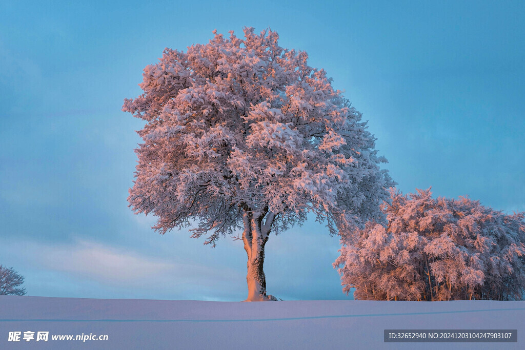 冬天雪景