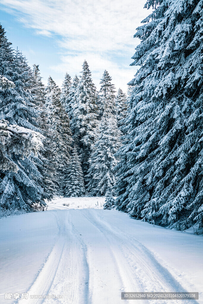 雪景