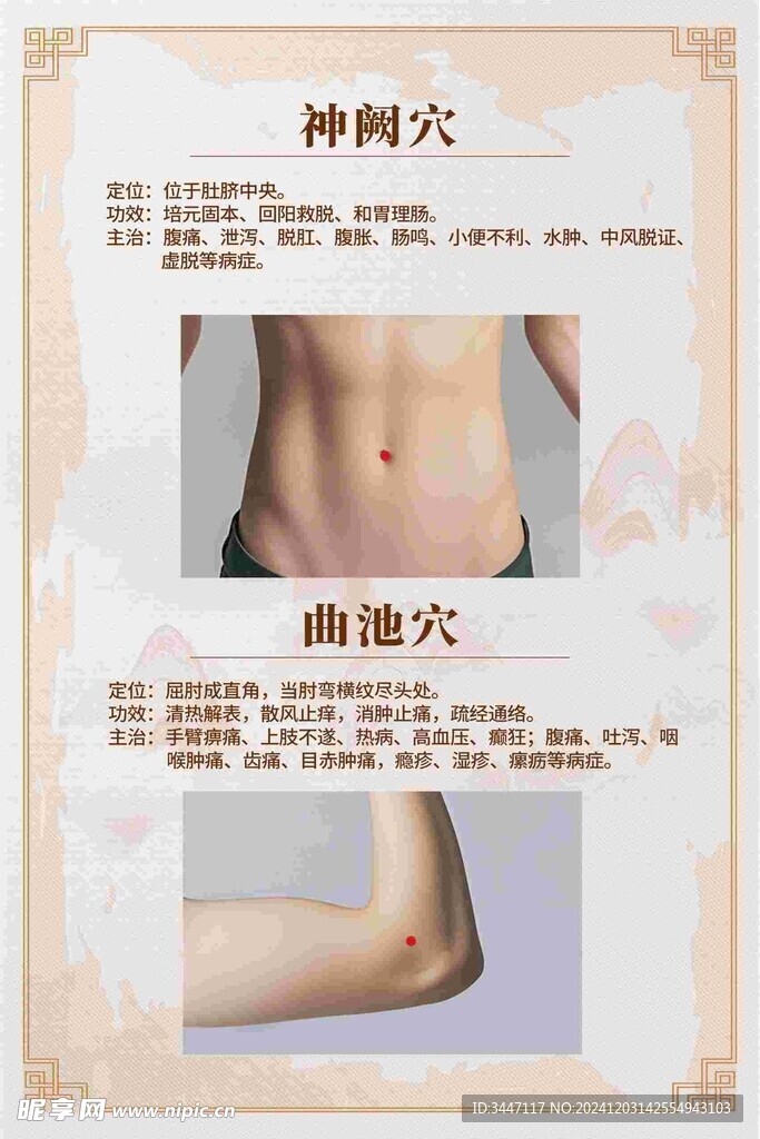 常用穴位解析