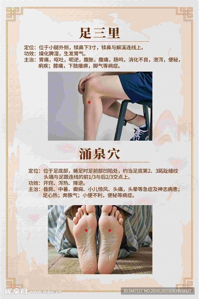 常用穴位解析