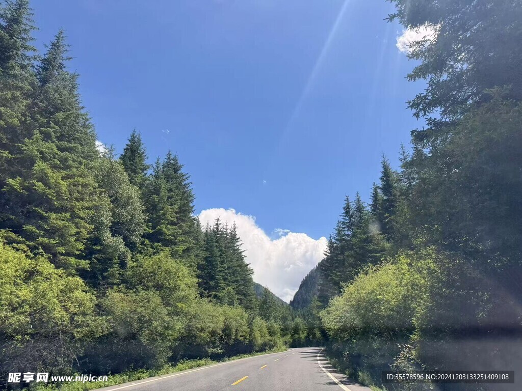 自然景色