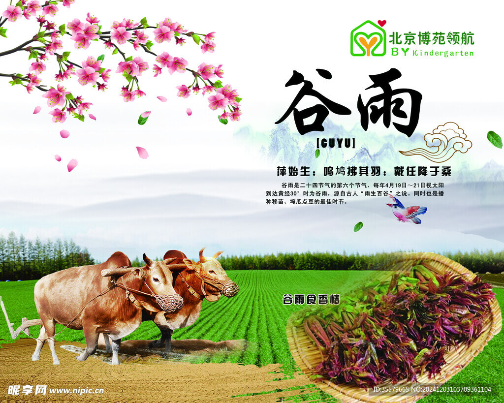 谷雨 24节气 节气图片 宣传