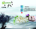 寒露 24节气 节气图片 宣传