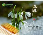 立春 24节气 节气图片 宣传