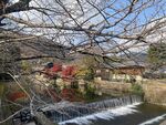 岚山小河流水