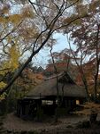 红叶小屋