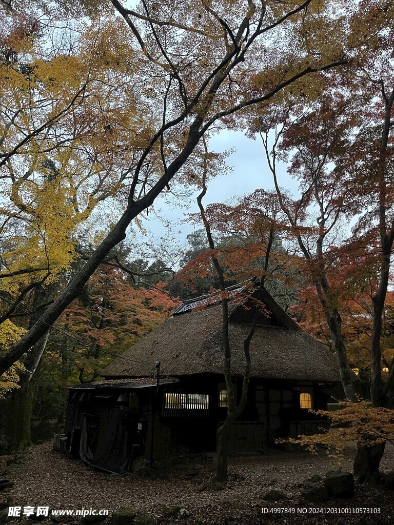 红叶小屋