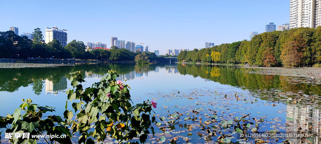 洪湖公园