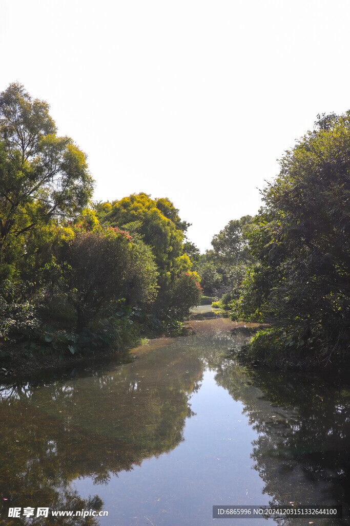 湿地景观