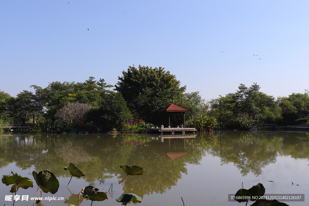 湿地公园景观