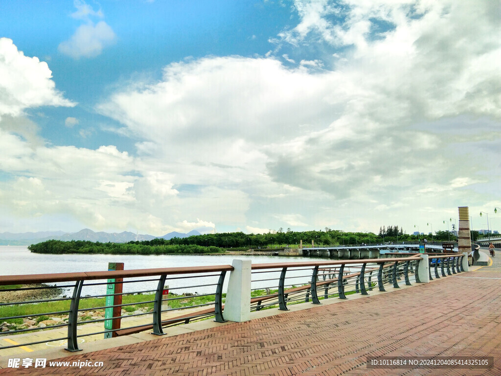 城市海岸
