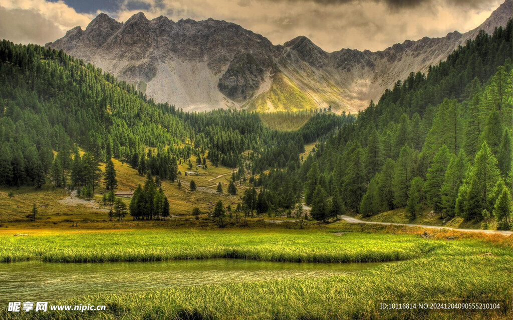 草地山脉风景