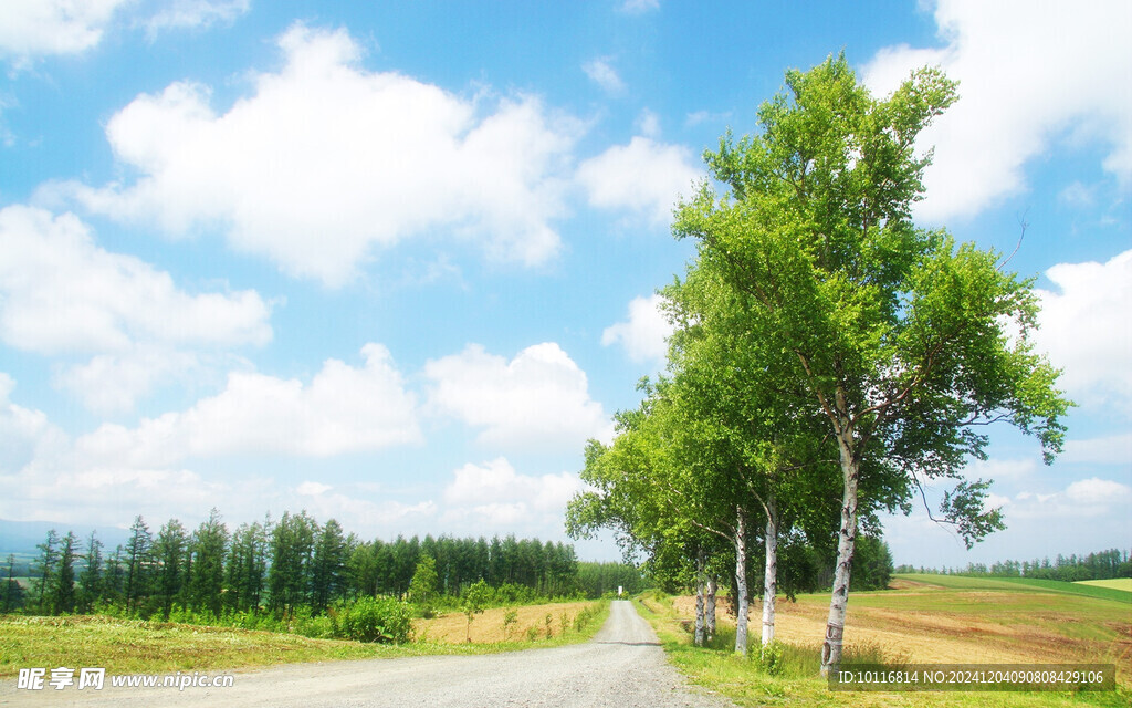 公路