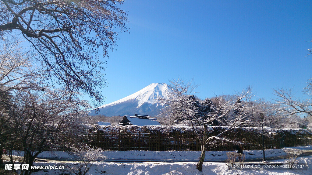 富士山