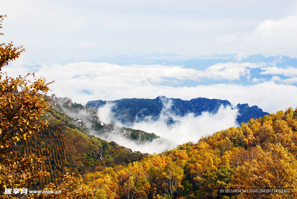 山林景色
