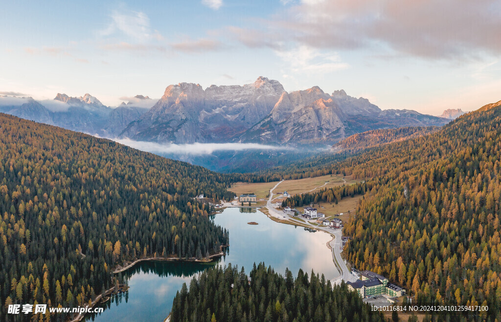 树林山水