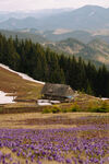 山坡小木屋远山