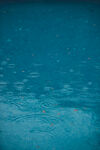 秋雨
