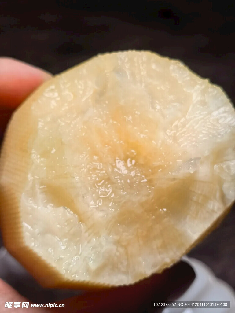 雪莲果