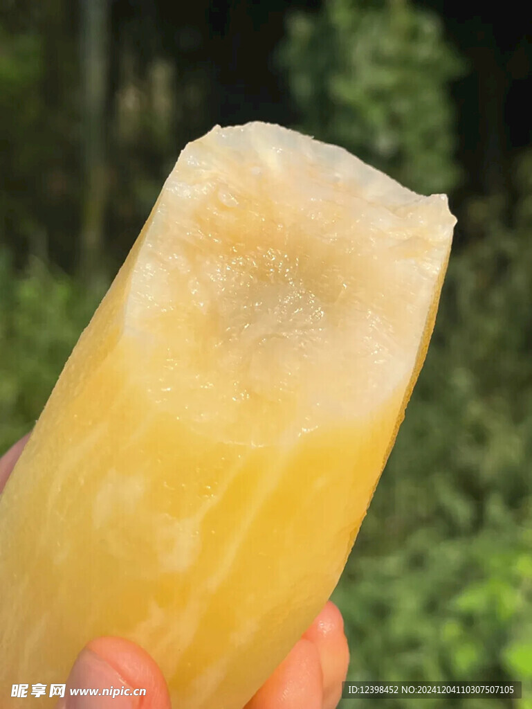 雪莲果