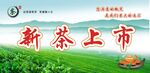 茶叶海报