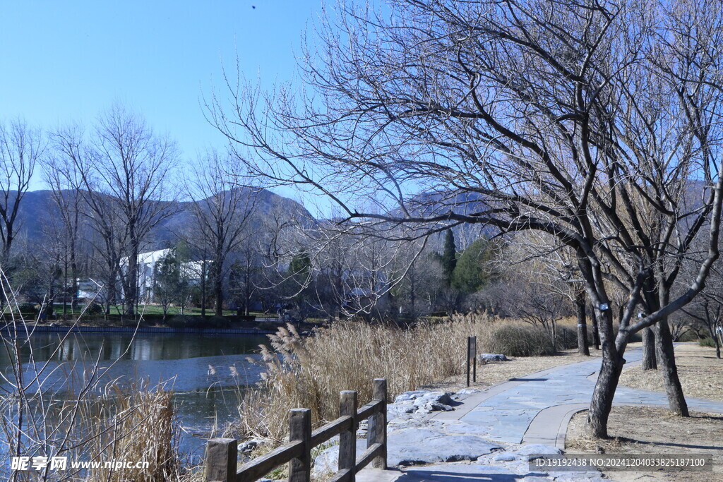 公园风景 