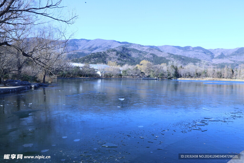 冬日风景 