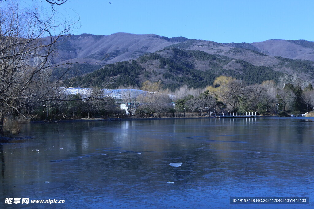 冬日风景  