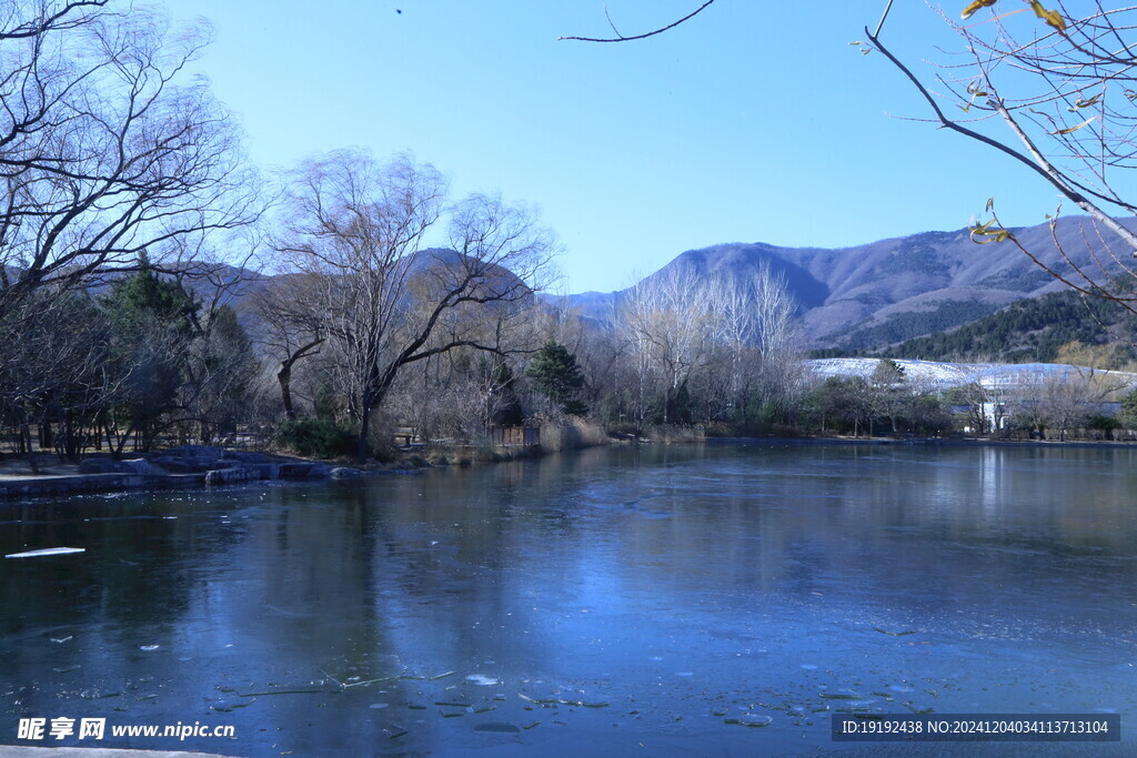 冬日风景  