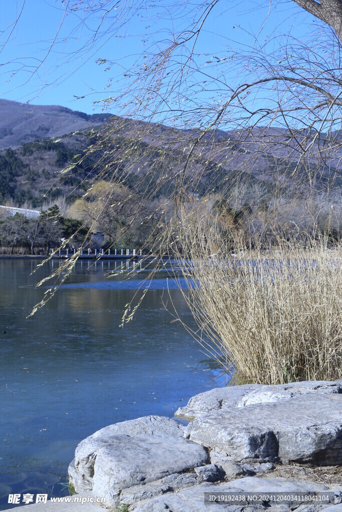 冬日风景 