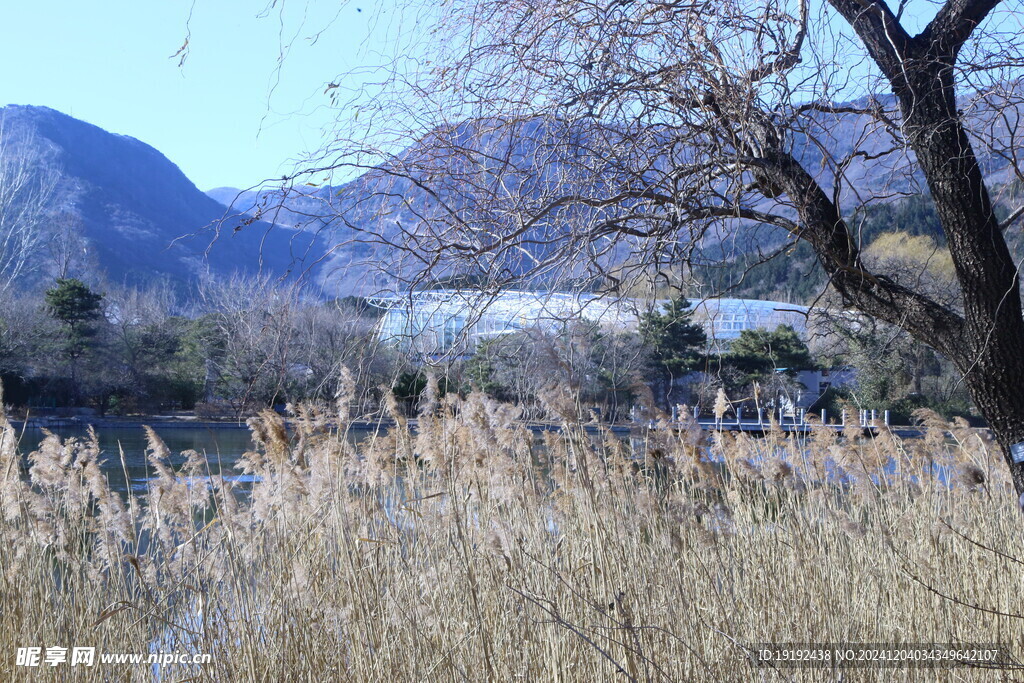 冬日风景 