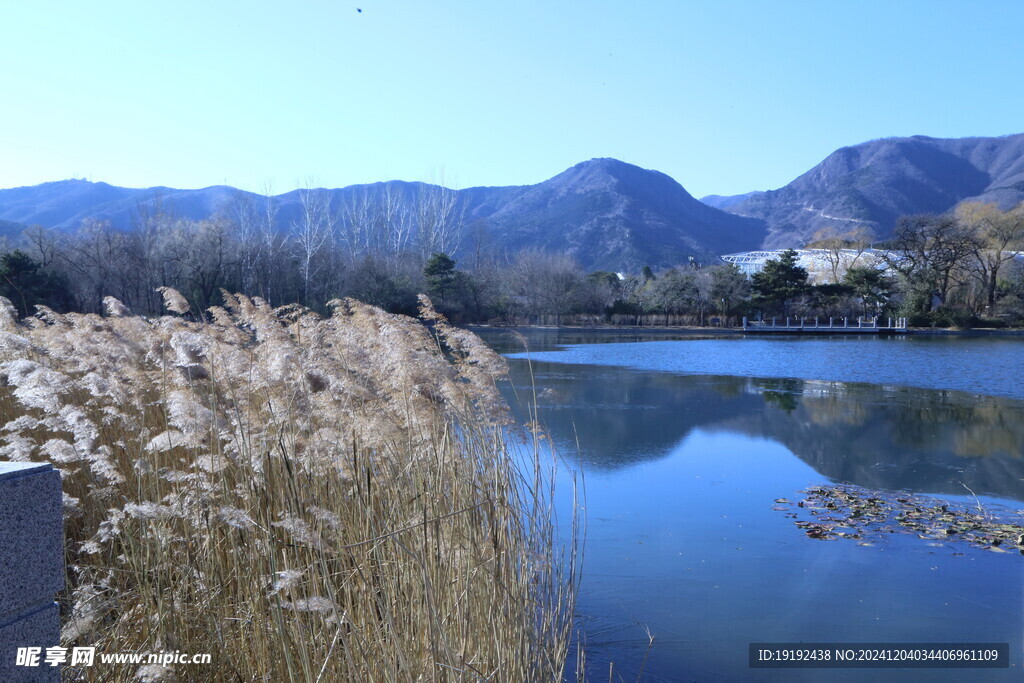 冬日风景  