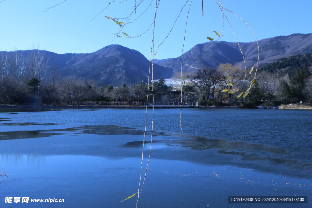 冬日风景 