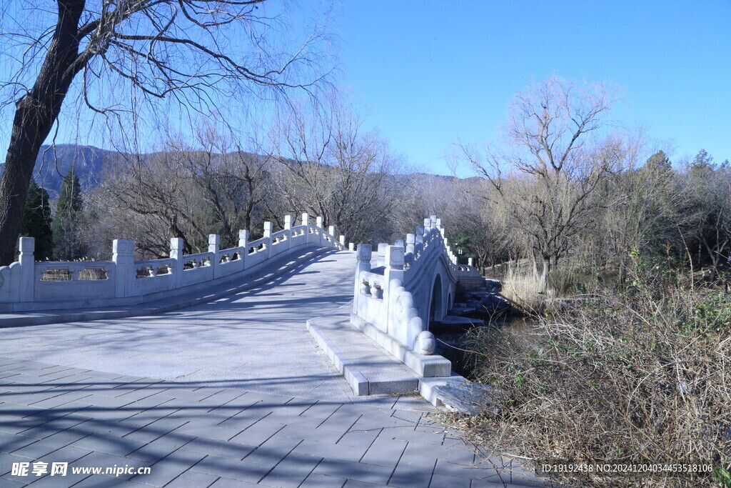 公园风景 