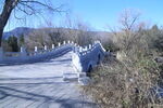 冬日风景  