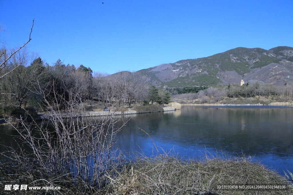 冬日风景  