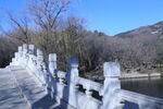 冬日风景 