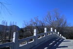 公园风景  