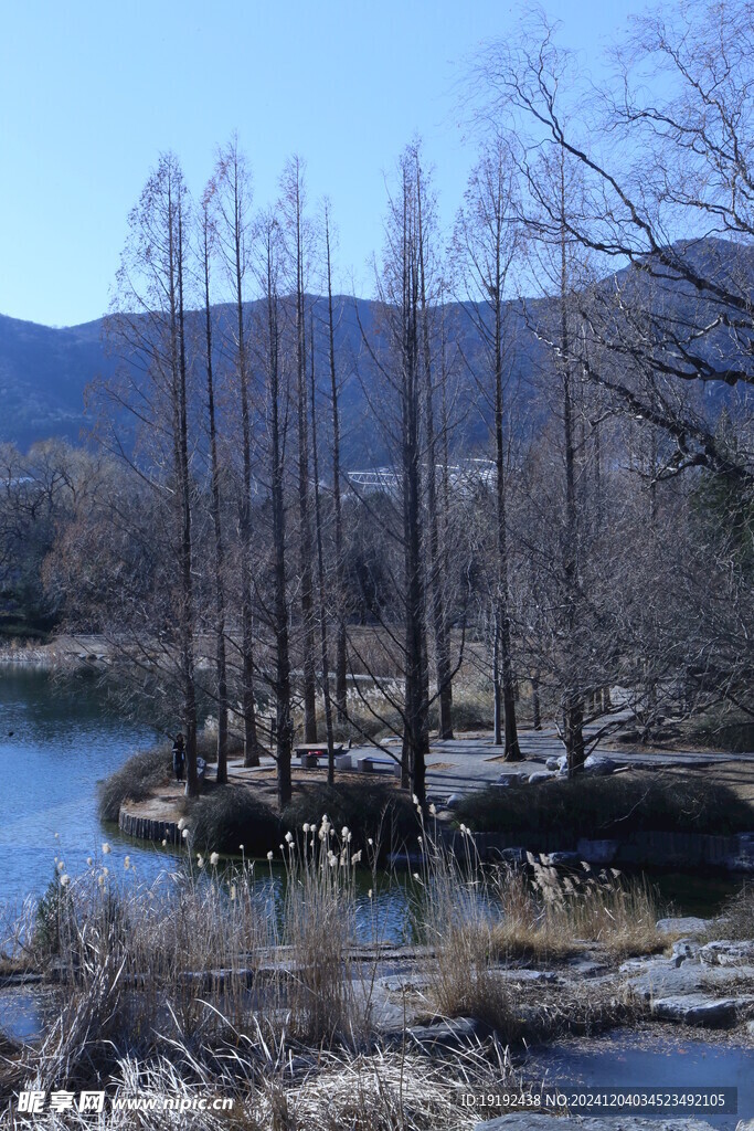 冬日风景 