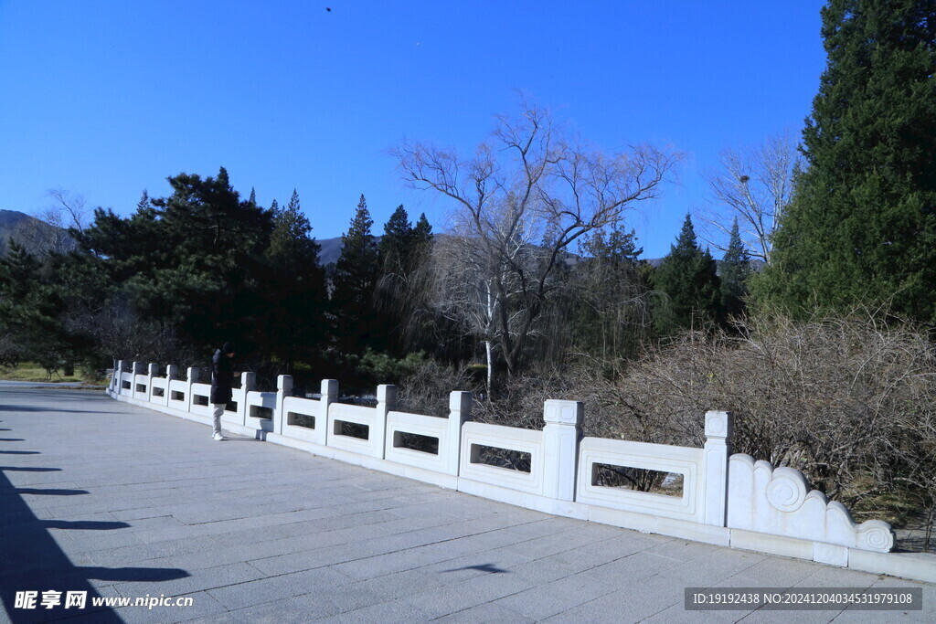 冬日风景  