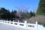 公园风景  