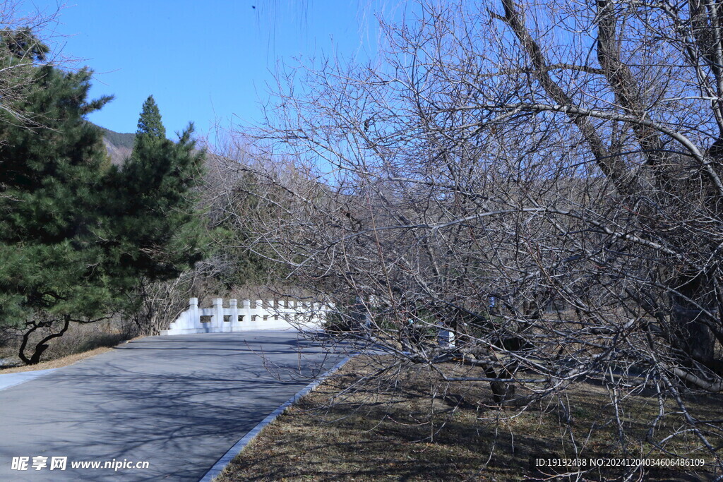 冬日风景  