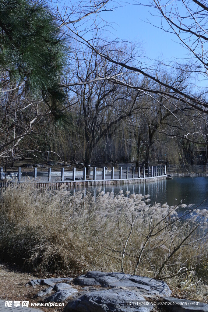 冬日风景  