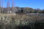 冬日风景 