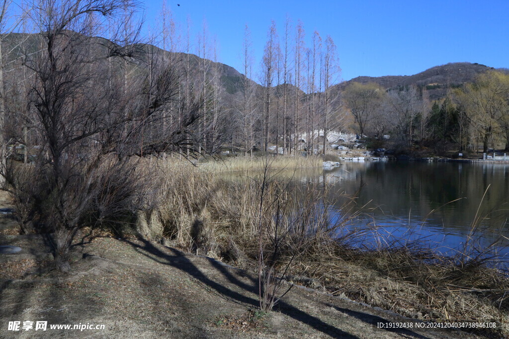 公园风景 