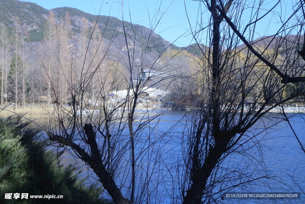 公园风景 