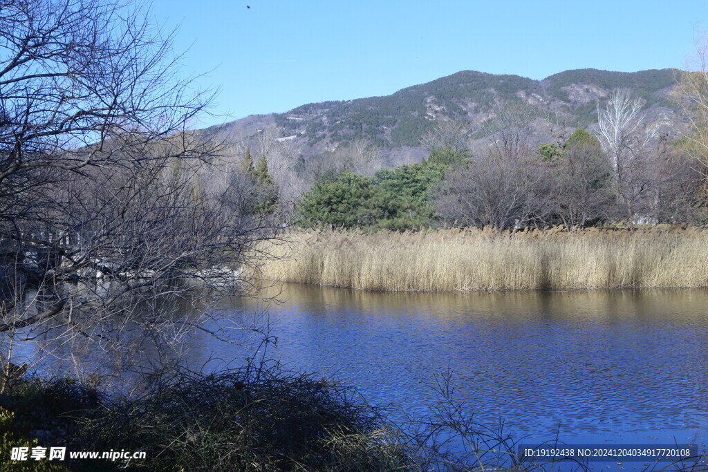 冬日风景  